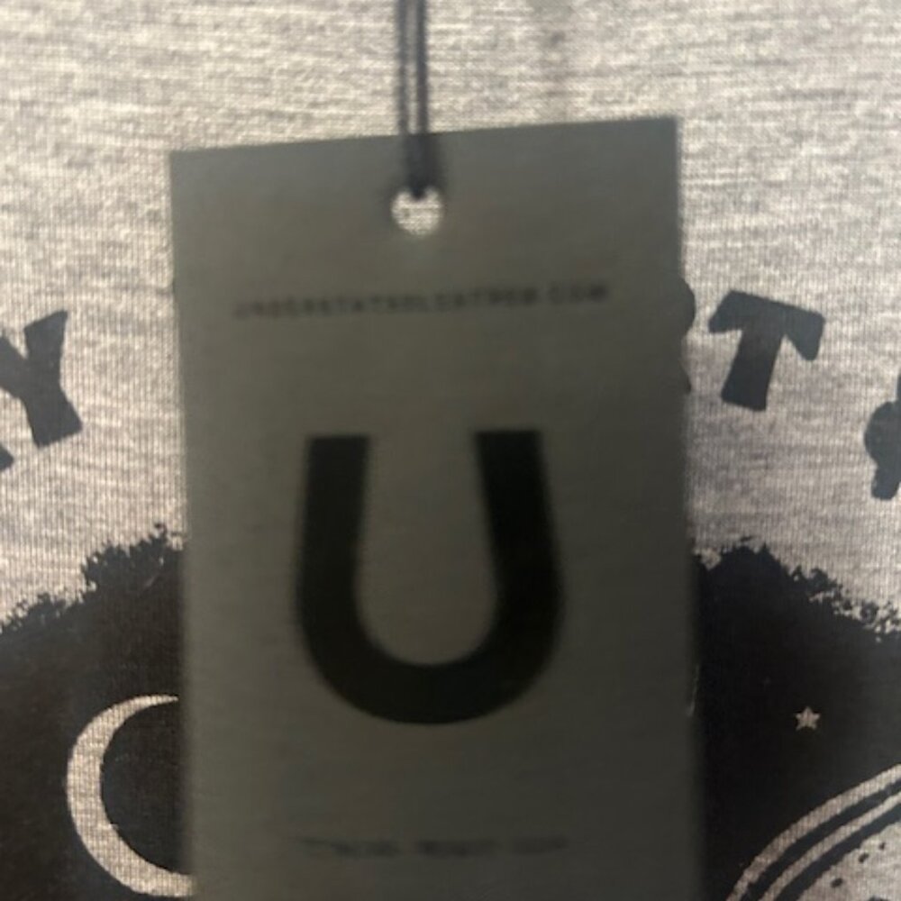 Free People x Understated Leather Heart & Soul AUSTIN Heather Gray Oversized Tee - Picture 7 of 16